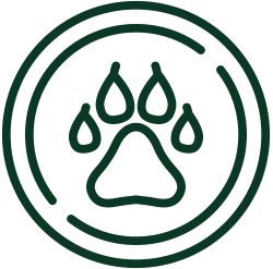 Wildbret Icon