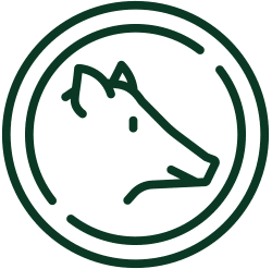 Wildschutz Icon