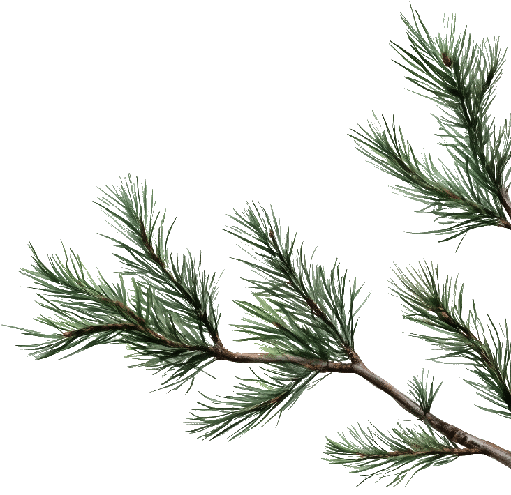 Fichtenzweig als Designelement